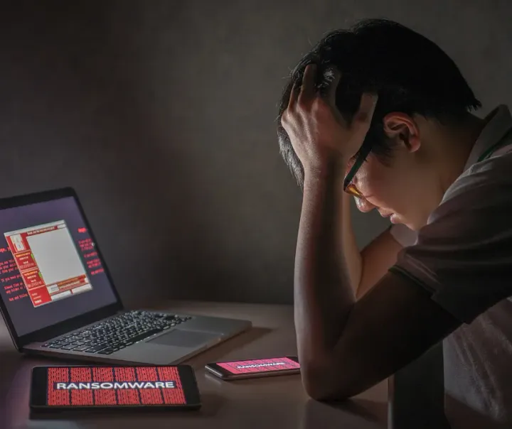 Ransomware Exposed: Unveiling Hidden Harms and Advocating Cybersecurity Resilience